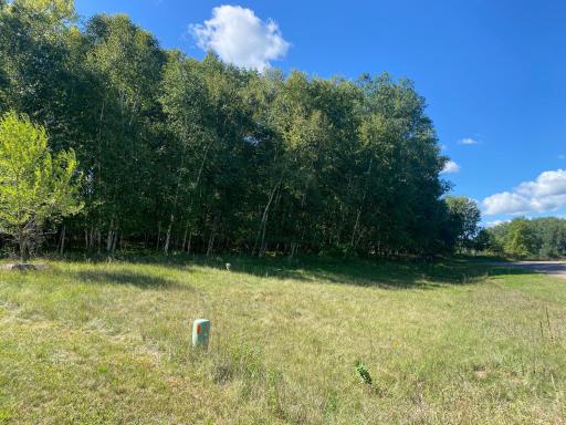 TBD 97th Street NW, Zimmerman, MN 55398
