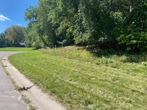 TBD 97th Street NW, Zimmerman, MN 55398