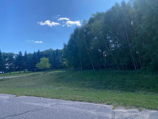 TBD 97th Street NW, Zimmerman, MN 55398