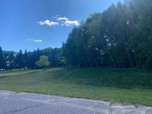 TBD 97th Street NW, Zimmerman, MN 55398