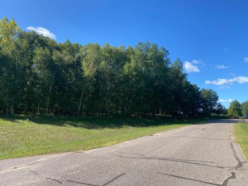 TBD 97th Street NW, Zimmerman, MN 55398