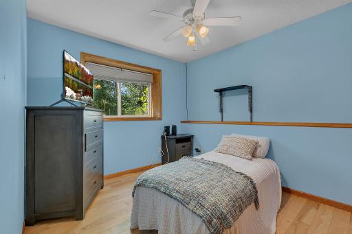 Lower Level Bedroom 3