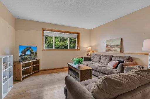 Family Room Lower Level