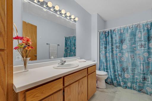 Lower Level Bathroom