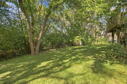 Backyard View 2