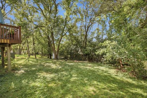 Backyard View 1