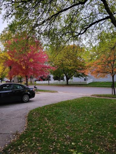 Homeowner Photo Fall Colors