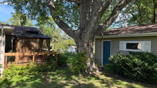 819 S Martin Street, Fergus Falls, MN 56537