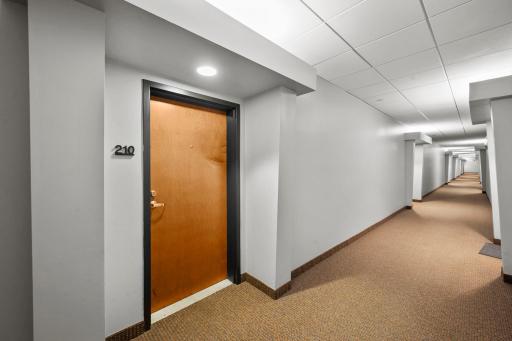 15 E Franklin Avenue, 210, Minneapolis, MN 55404