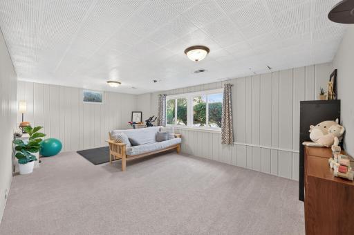 HUGE Lower Level Family Room with large windows - doesn't "feel" basement like at all.