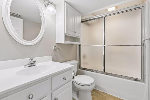 Lower Level Bath
