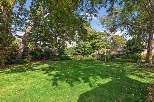 Big Back Yard