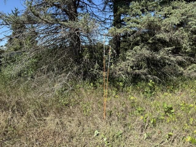 approximate property line back of lot