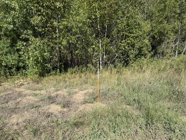 approximate property line by the road