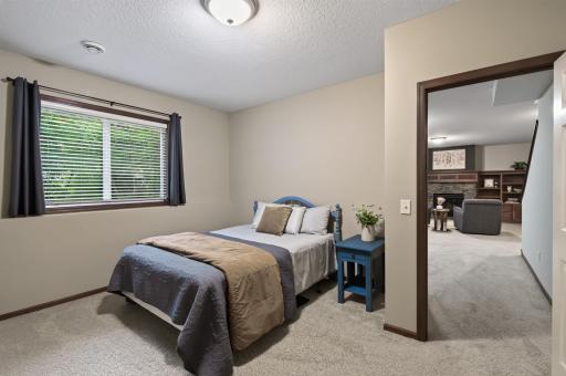 Lower level second bedroom with huge walk-in closet