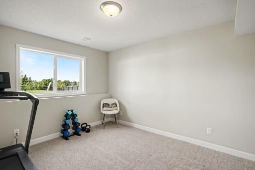Lower Level 5th bedroom with look-out window and large closet