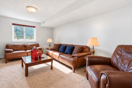 The lower-level family room offers another comfortable gathering space - perfect for entertaining!
