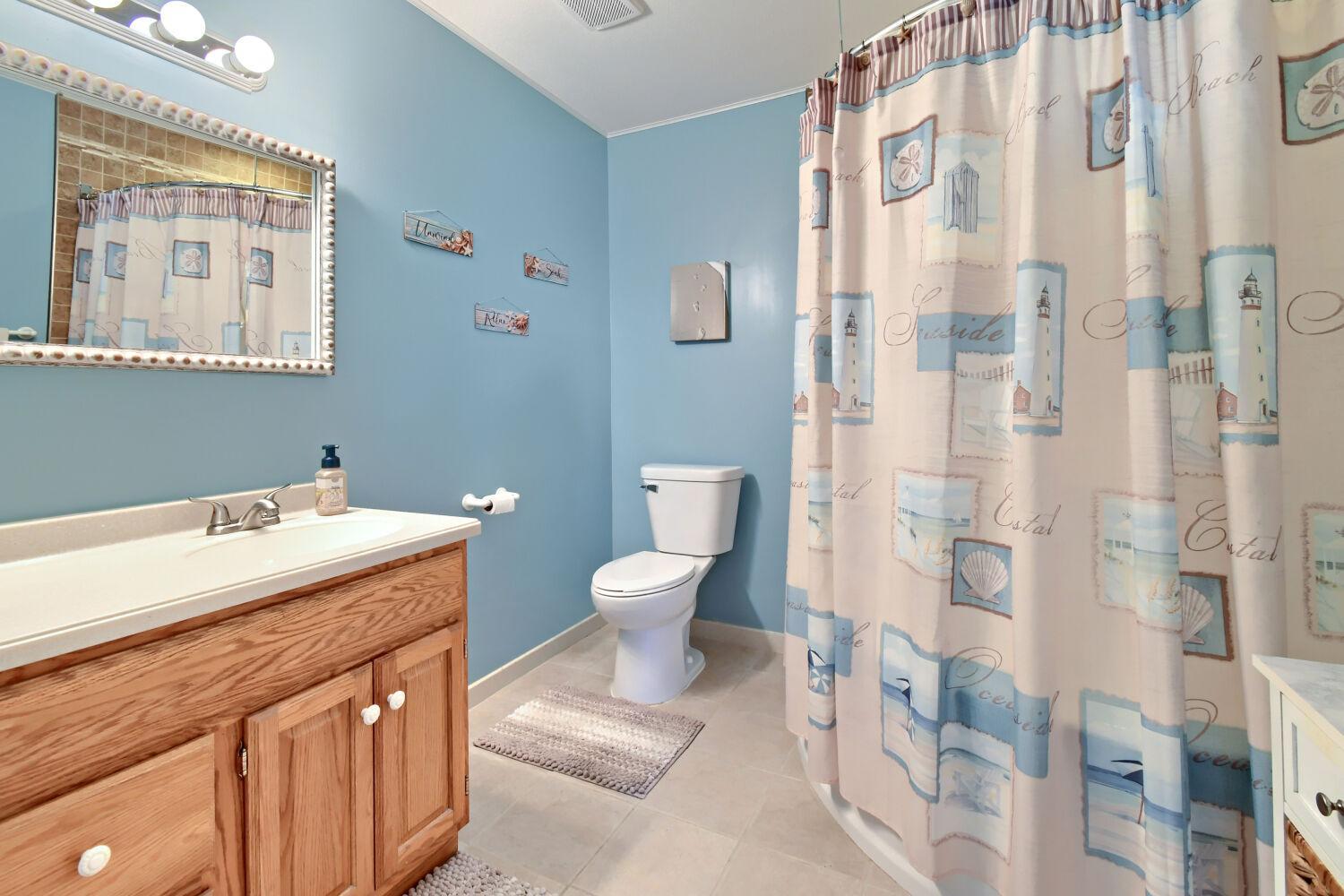 Lower level full bath