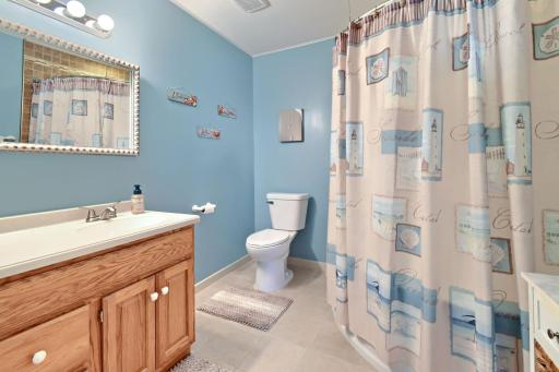 Lower level full bath
