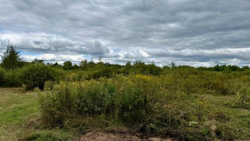 2392 280th Avenue, Brook Park, MN 55007