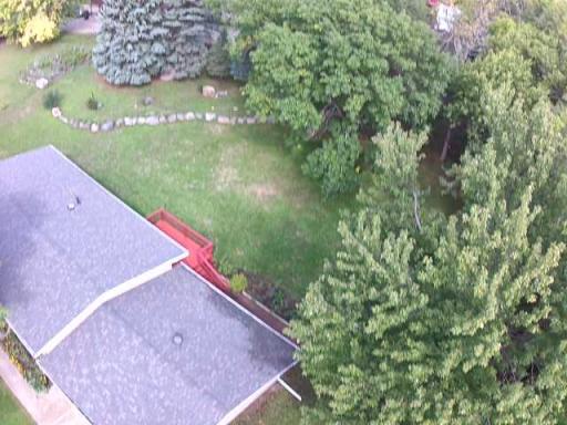 Back.yard.jpg