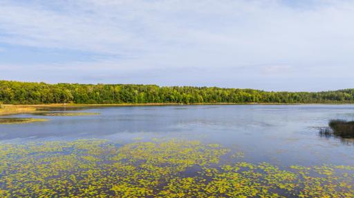 TBD Forest Pines Drive, Nevis, MN 56470