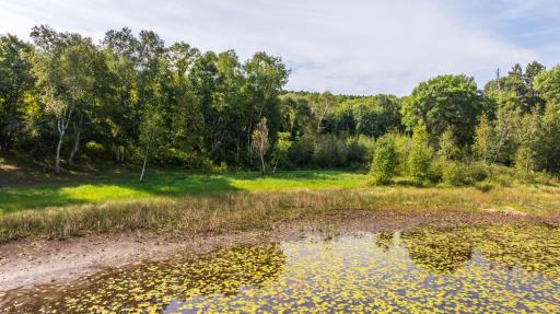 TBD Forest Pines Drive, Nevis, MN 56470