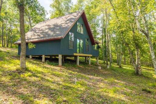TBD Forest Pines Drive, Nevis, MN 56470