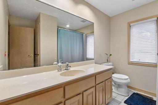 Lower-level bath with generous vanity space.