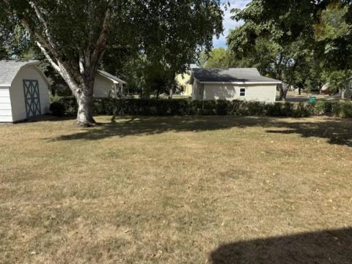 more backyard