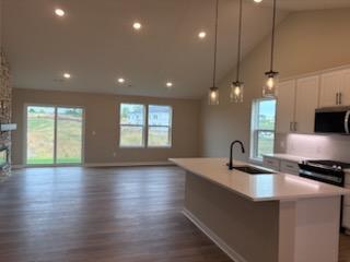 Main Level Kitchen/ Dining Room/ Gathering Room