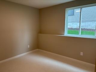 4th Bedroom in Lower Level