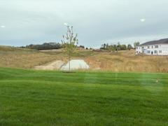 Pond View In Backyard
