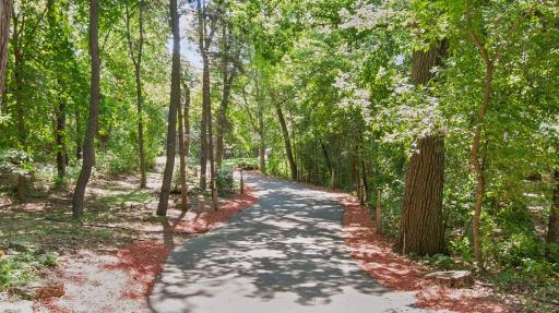 Private, tree-lined drive leads to this secluded North Oaks retreat
