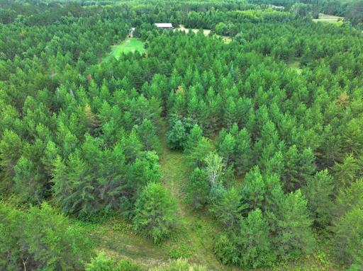 11208 State Highway 87, Menahga, MN 56464