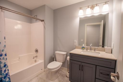 Main Floor Guest Bath