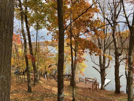 Down to dock - Fall