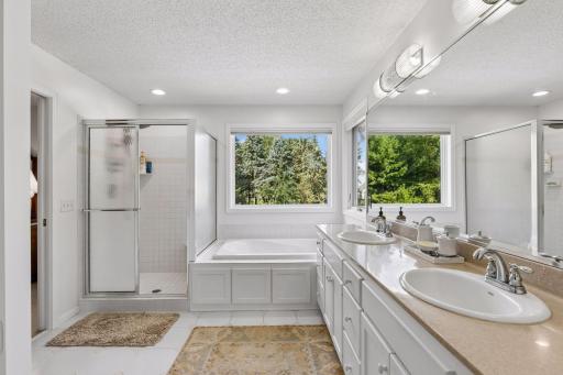 3 Scotch Pine Lane, North Oaks, MN 55127