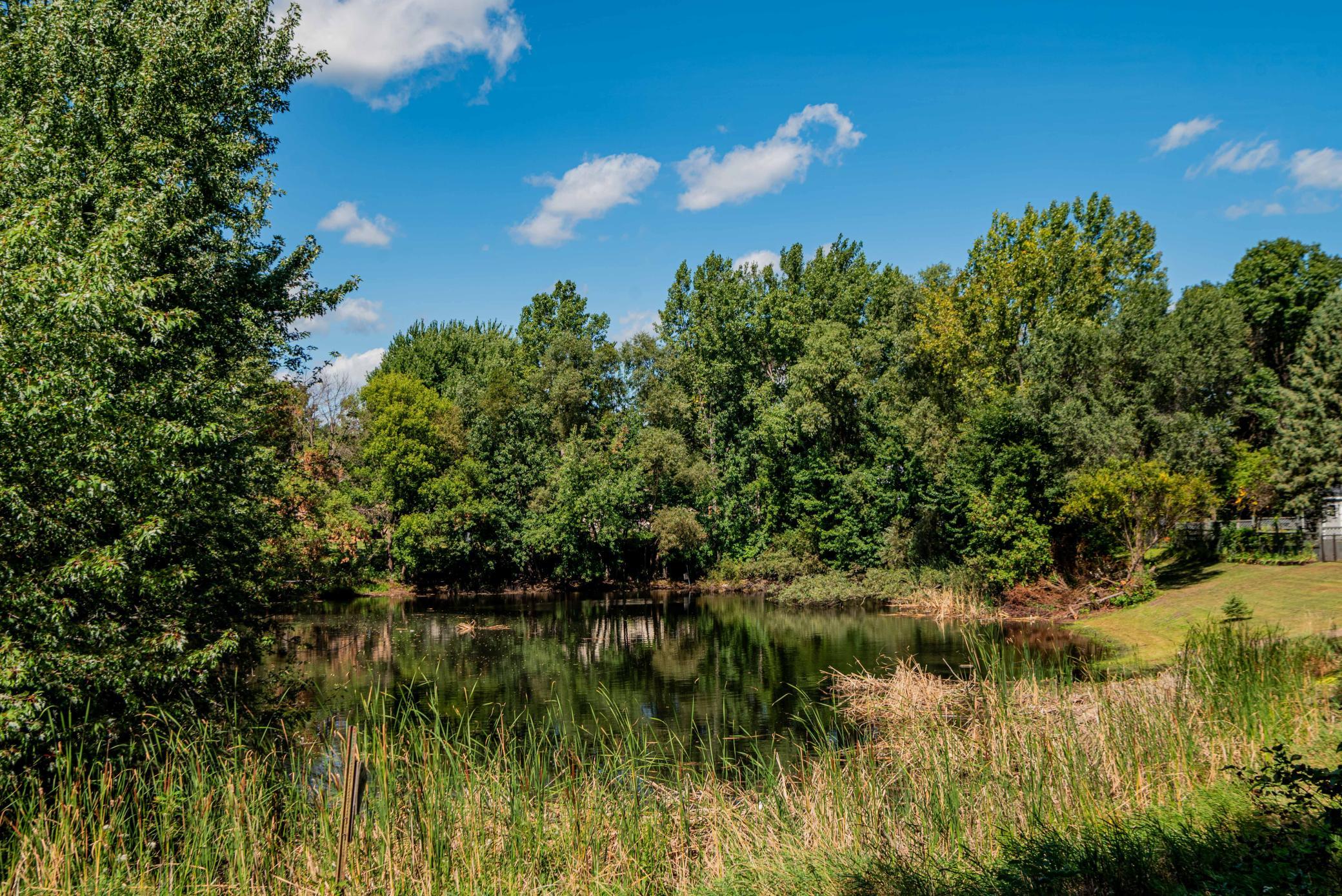 View of pond behind yard