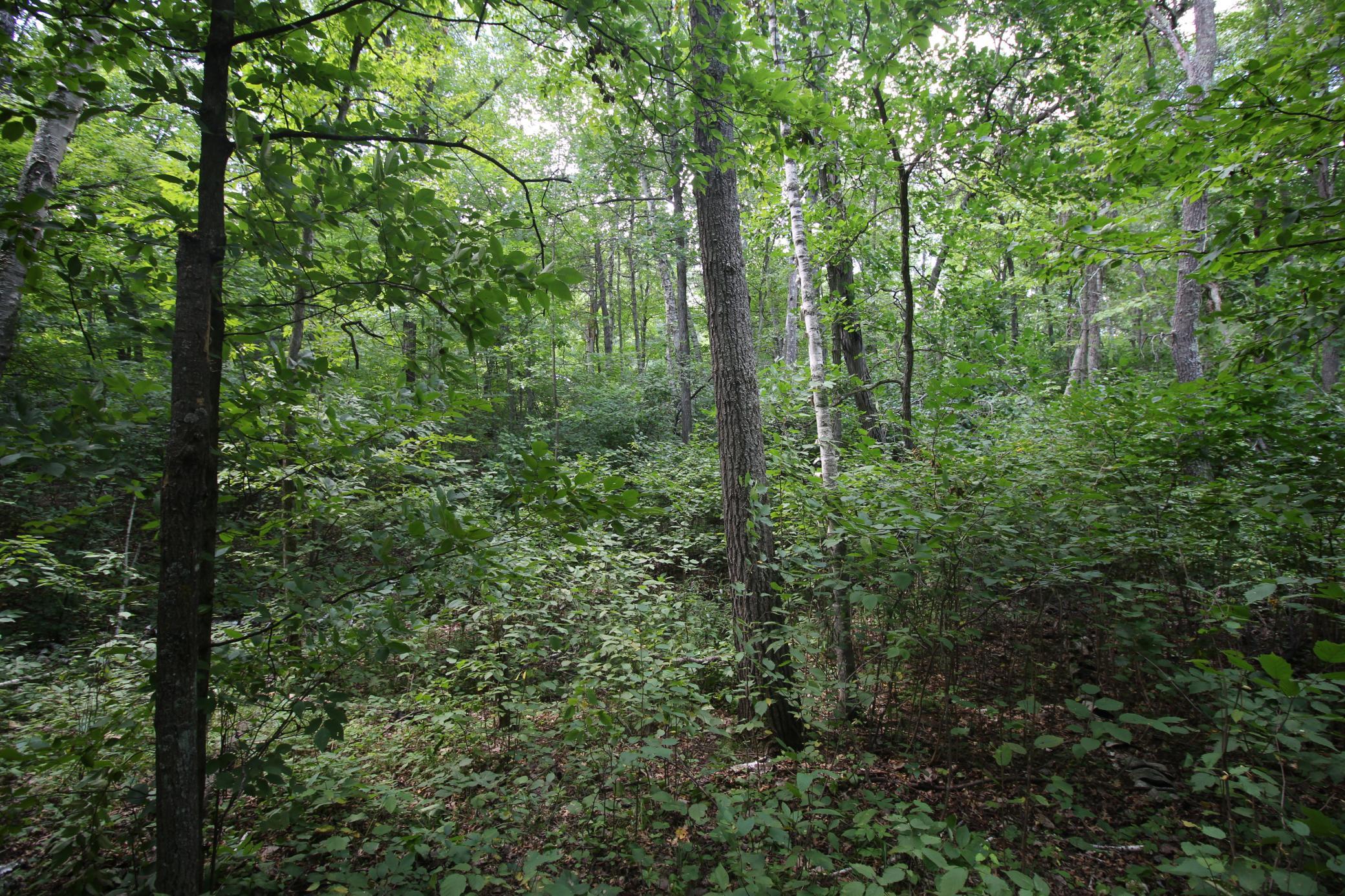 IMG_6616.JPG