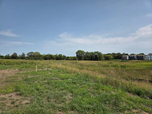 Views of the 7.5 acres of open space behind you!