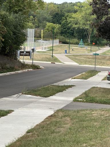 Hanson park view from backyard.jpg