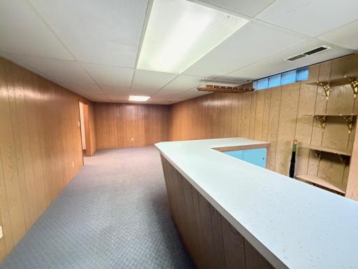 Bar and Family room