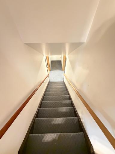 Downstair steps