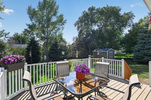 Serene backyard