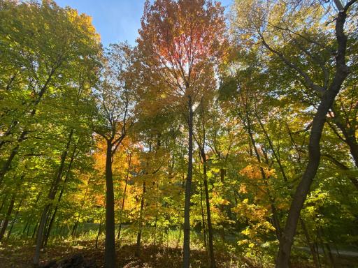 16609 Hidden Valley Road, Minnetonka, MN 55345