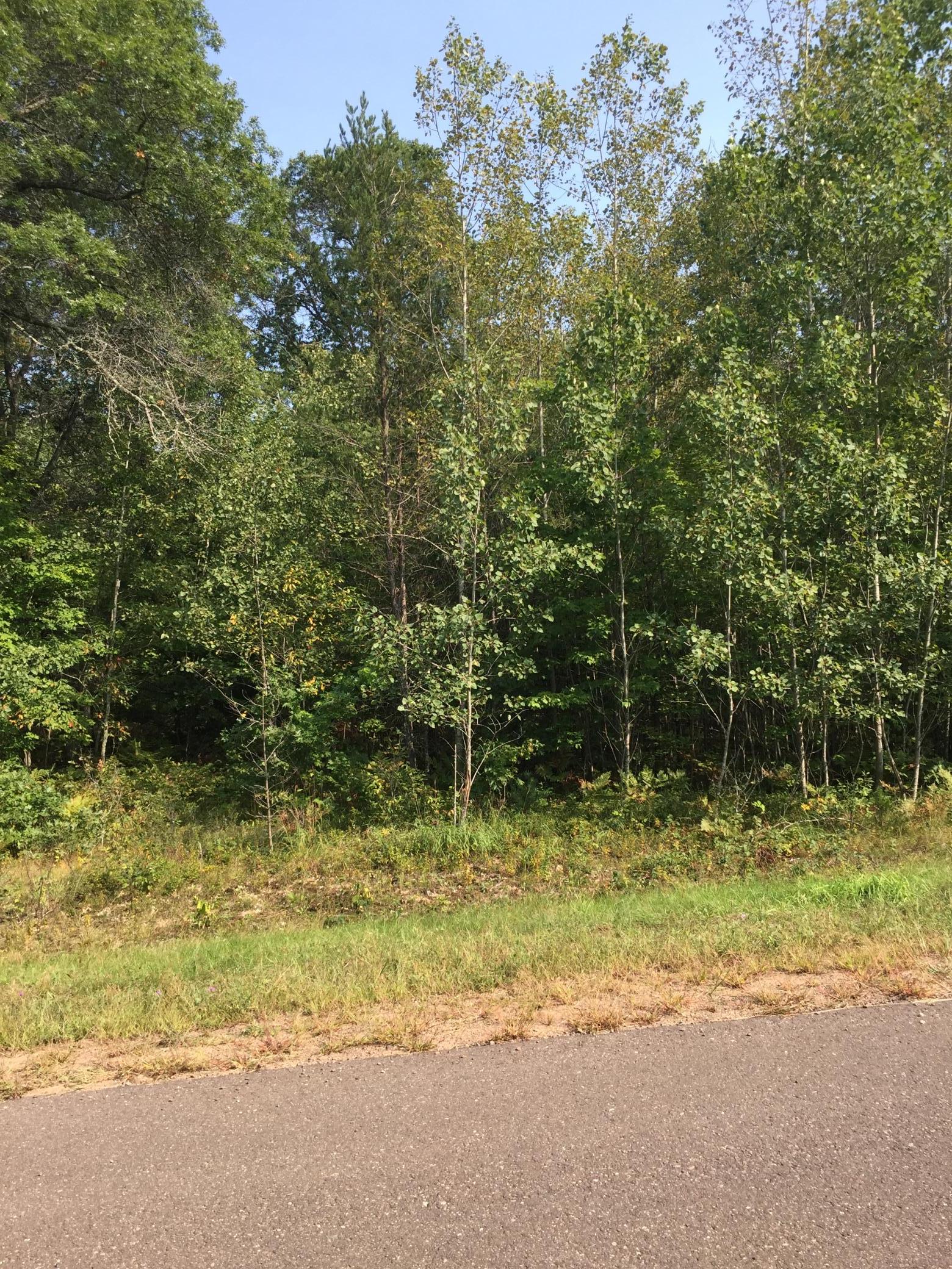 Property photo for Lot 31 Shady Lane, Siren, WI 54872