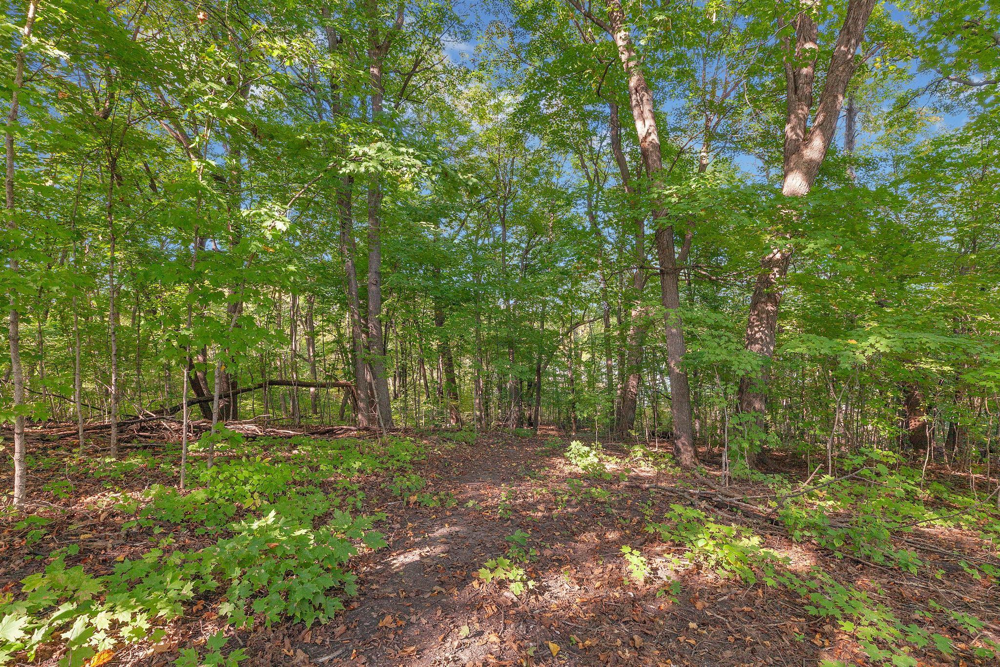 2.17 Acres with 280 Feet of Lake Frontage