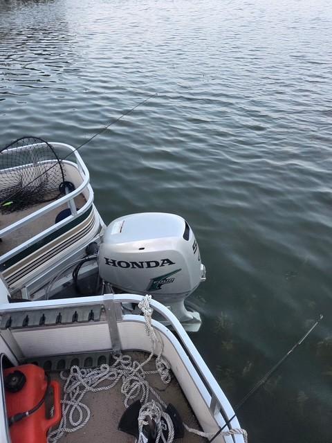 Pontoon with Acceptable Offer