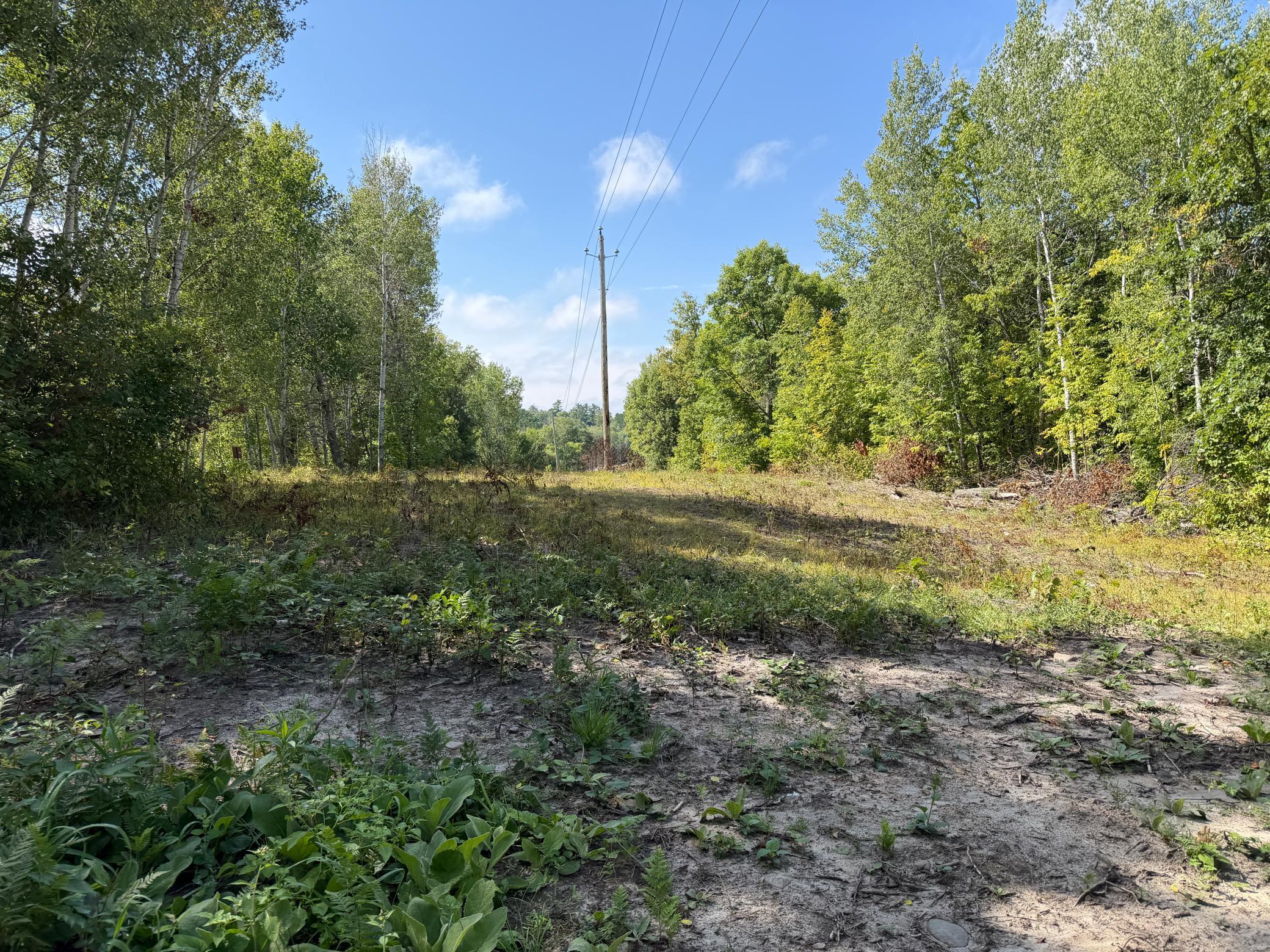 Photo 25